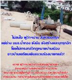 ผู้ว่าฯ(หน้าแตก) ทำอะไรไม่ได้ (บริษัทน้ำทอง)เย้ย  กฎหมาย สร้างถนนวางท่อ ทำต่อ โดยไม่สนใจ  ก่อสร้าง วางท่อทำถนน ทับลำเหมืองต่อโดยไม่สนใจชาวบ้านร้องทุกข์ ชาวบ้านร้องมาอีกว่า  ตำรวจ ก็ทำอะไรไม่ได้ ส่งหนังสือร้องทุกข์อีก ขอให้หน่วยงานที่รับผิดชอบตรวจสอบที ตาม