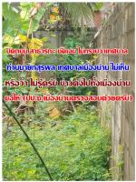 ชาวบ้าน พญาภู เทศบาลเมืองน่านโวยลั่น โดนผู้รับเหมา รายใหญ่ ในเทศบาลเมืองน่าน (ยึดถนนปิดทาง) ที่ (บ้านพญาภู) ทำให้ชาวบ้านเดือดร้อนมานานแล้ว! จึงมาร้องสมาคมสื่อฯ ให้ทางเทศบาลเมืองน่าน ตรวจสอบให้หน่อย ว่ามันเป็นถนนสาธารณะ หรือไม่ ตามข่าว   